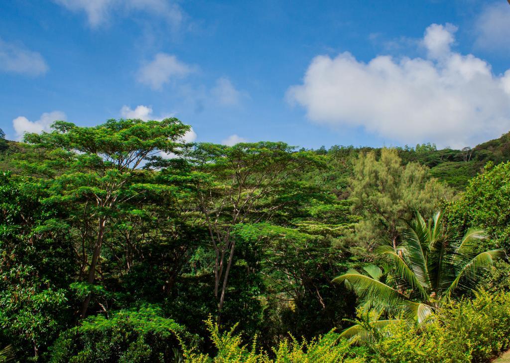 Anse Royale Panorama View Διαμέρισμα Εξωτερικό φωτογραφία